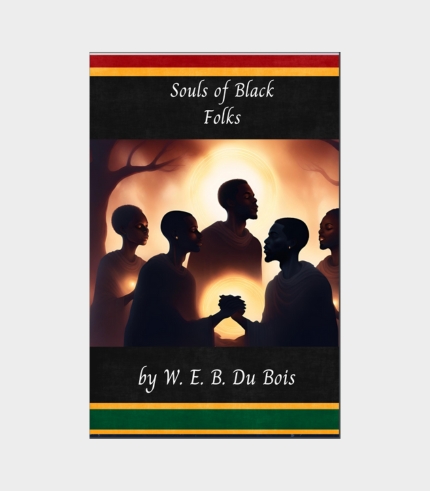 Souls of Black Folks Book